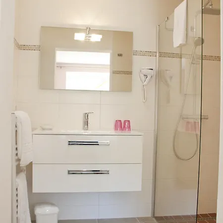 ホテル Domaine De Janis & 4*