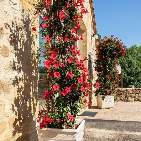 Domaine De Janis&spa Hotel Le Vigan (Lot)