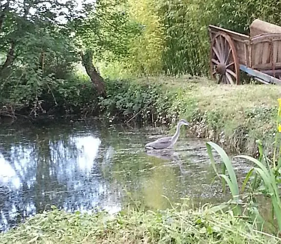 Domaine De Janis & 4*