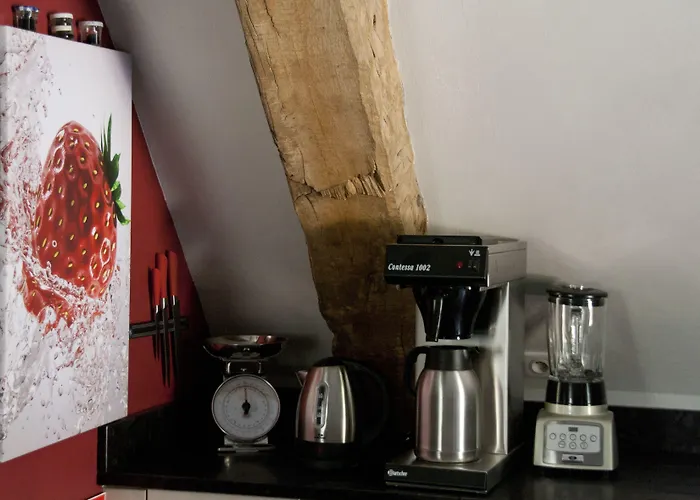 Domaine De Janis & Hotel 4*