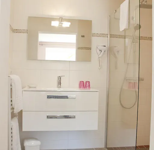 Hotel Domaine De Janis & 4*